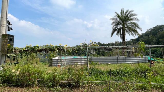 新竹寶山農地-3