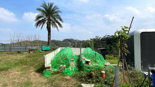 新竹寶山農地-7