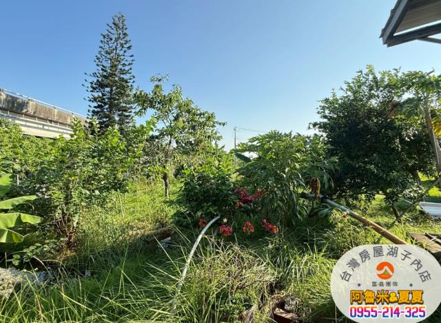 雲林四湖農地-2