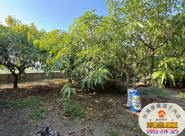 雲林四湖農地-3