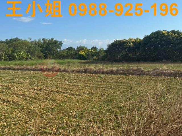 桃園楊梅農地-1