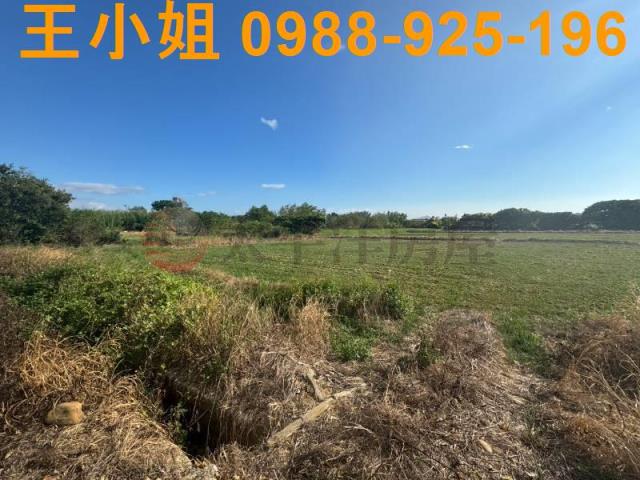 桃園楊梅農地-4