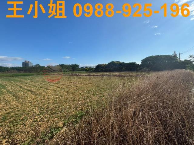 桃園楊梅農地-5