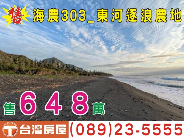 台東成功農地-0