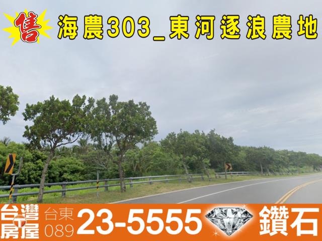 台東成功農地-1