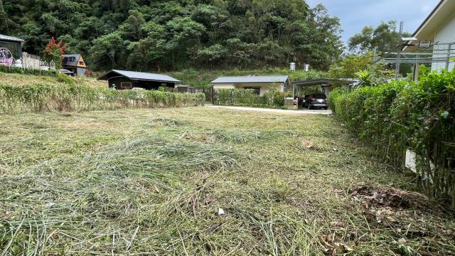 新竹寶山農地-5