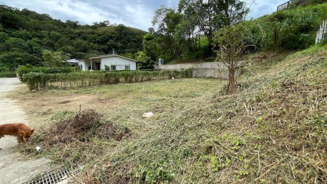 新竹寶山農地-6