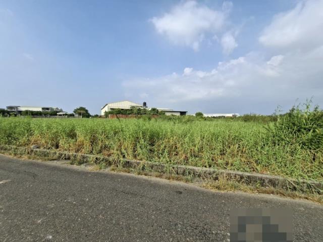 台南永康農地-5