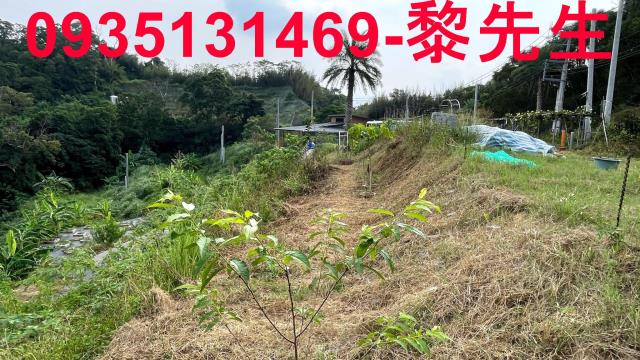 新竹寶山農地-0