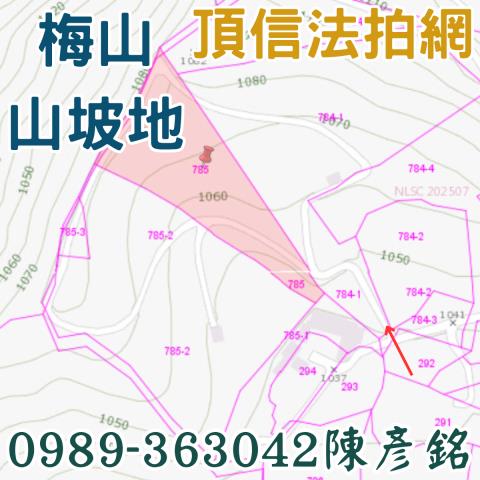 嘉義梅山農地法拍-2