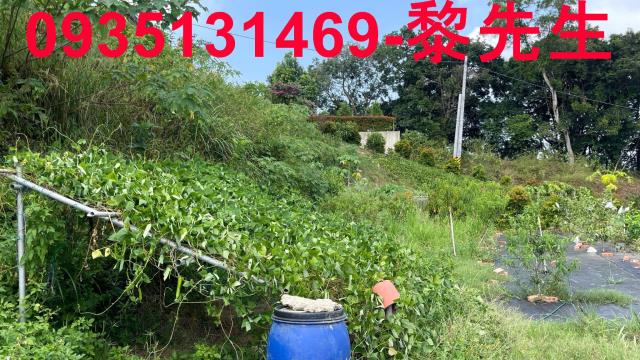 新竹寶山農地-9