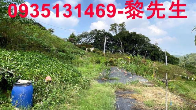 新竹寶山農地-13