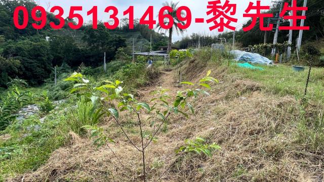 新竹寶山農地-7