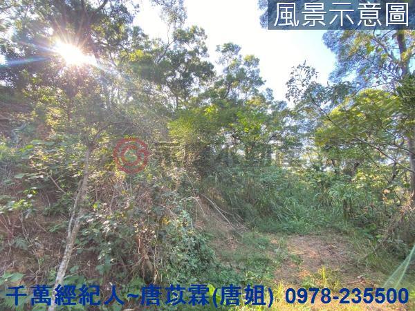 北區林地-1