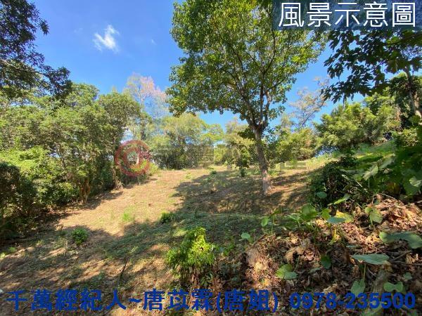 北區山坡地-12
