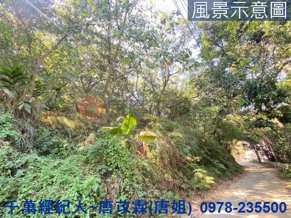 北區山坡地-14