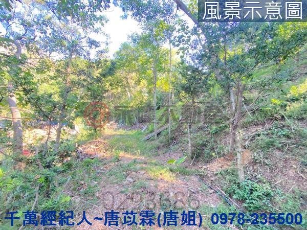 北區山坡地-3