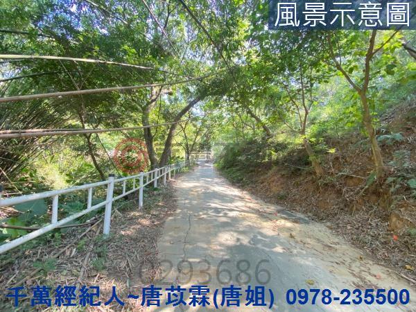 北區山坡地-4