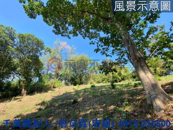 北區山坡地-7