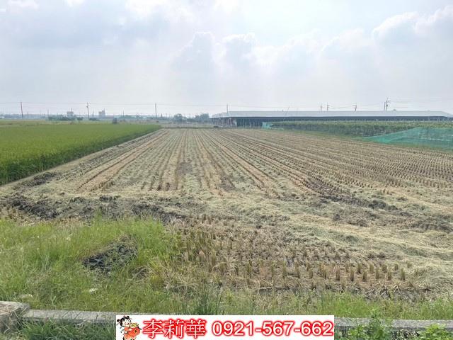 柳營農地-6