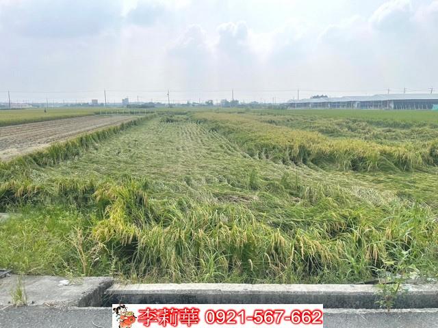 柳營農地-7