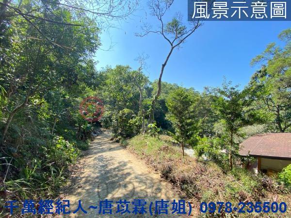 北區山坡地-9