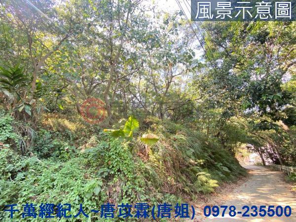 北區山坡地-13