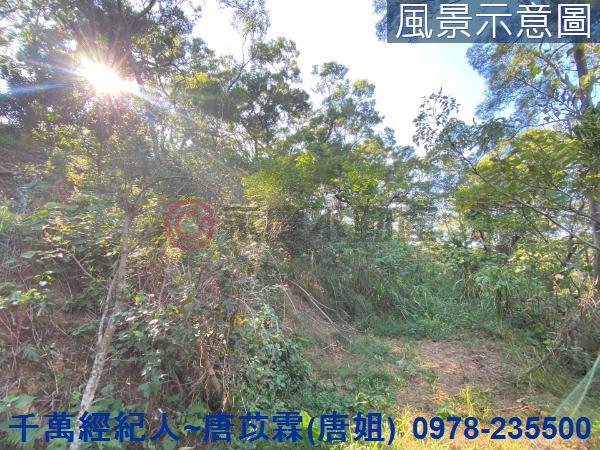 北區山坡地-2