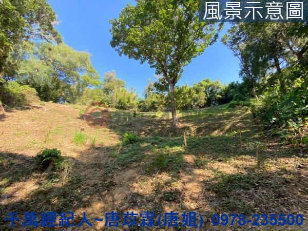 北區山坡地-5