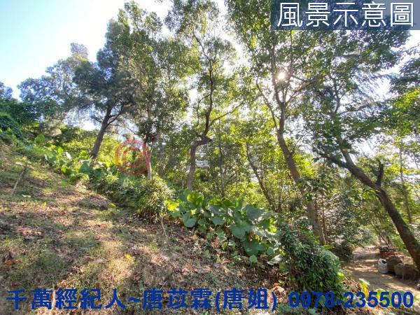 北區山坡地-6