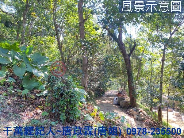 北區山坡地-7