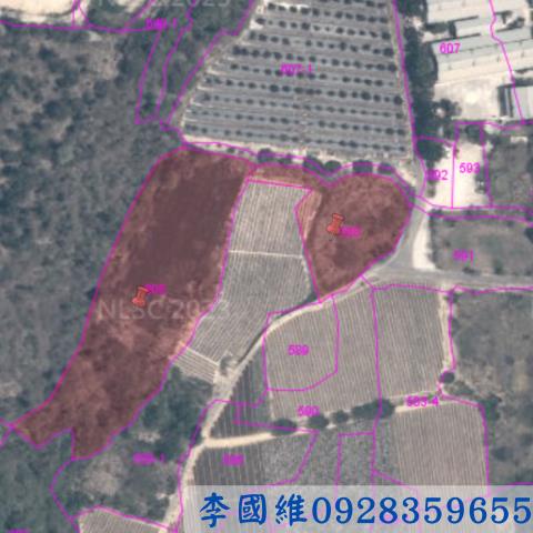 台南農地法拍-2