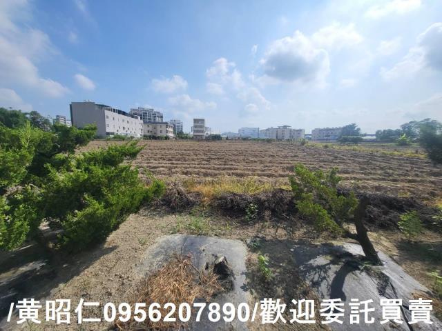 台南新市農地-3