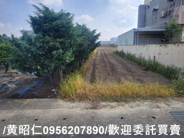 台南新市農地-5