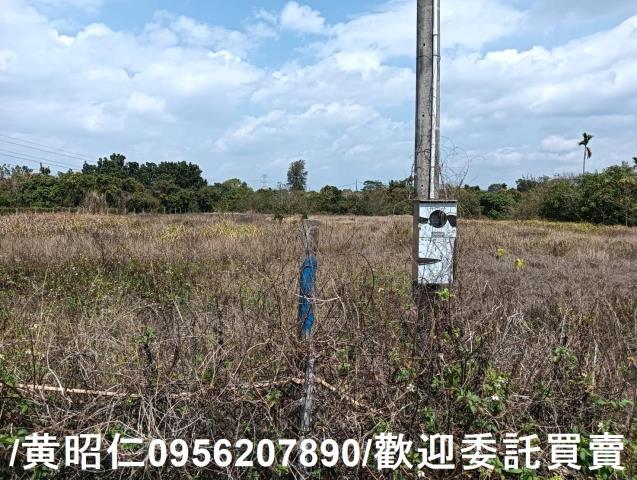 台南大內農地-3