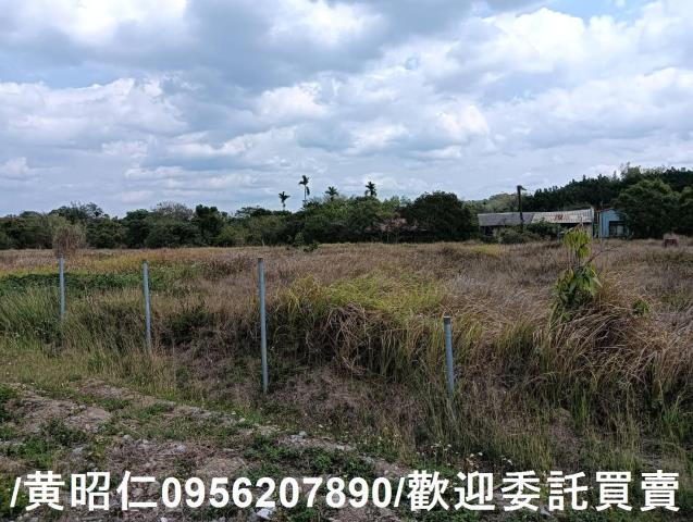 台南大內農地-4