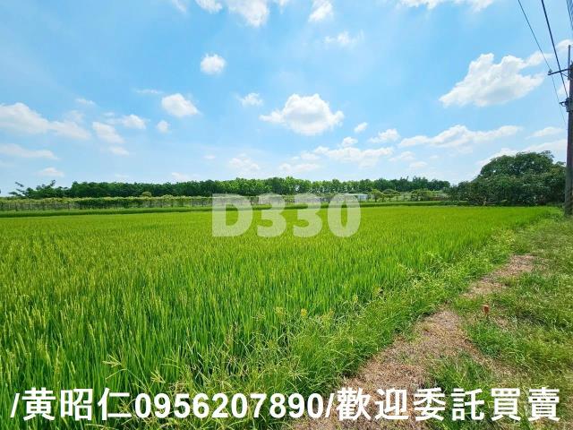 台南官田農地-0