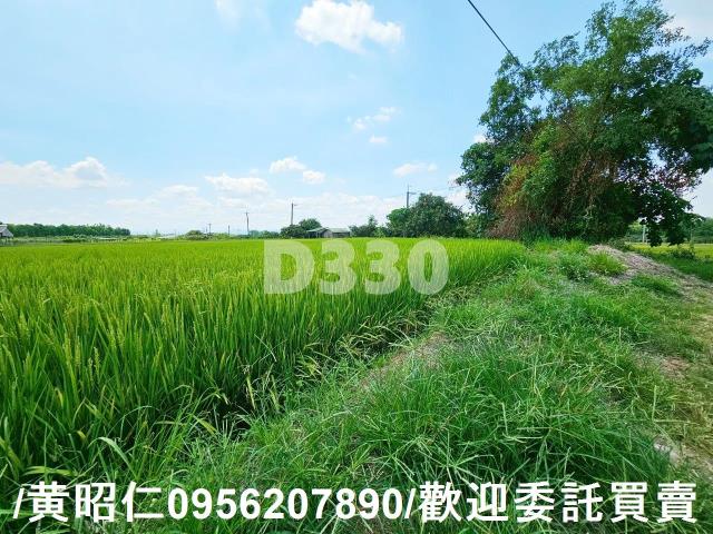 台南官田農地-2