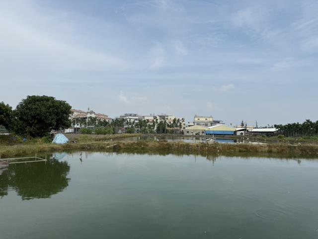 屏東竹田農地-4