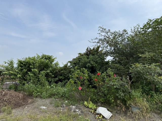 屏東竹田農地-1