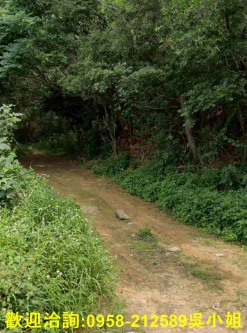 新竹新豐農地-3