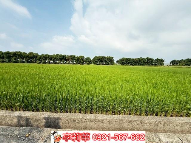 新營農地-8