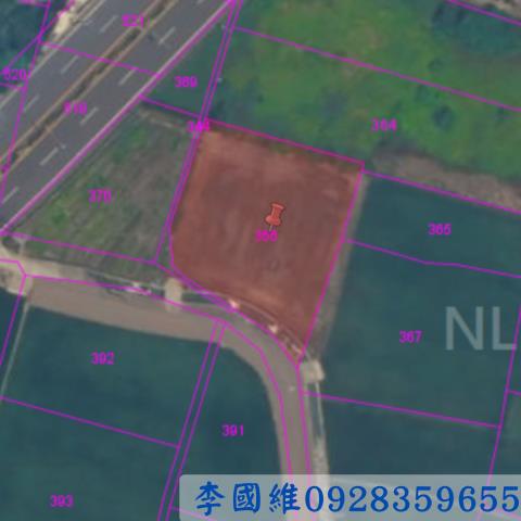 伸港農地法拍-2