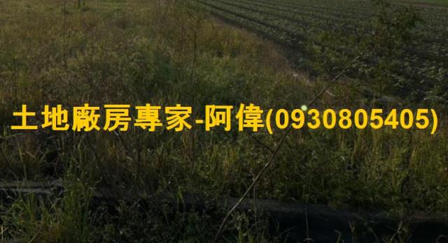大寮農地-0