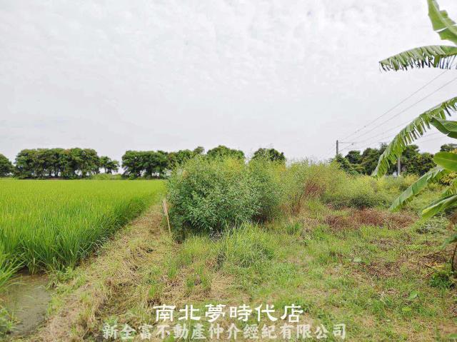 新營農地-4