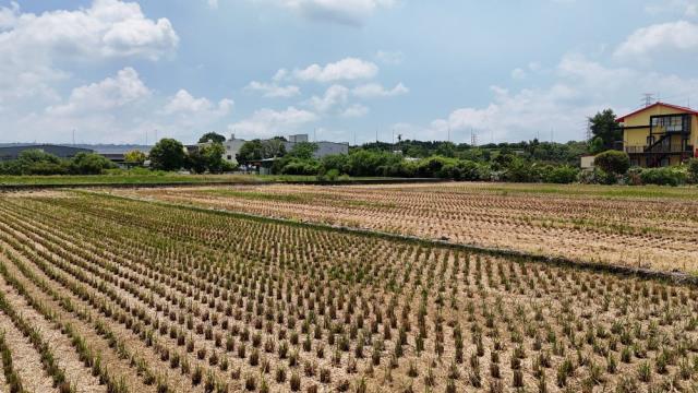 草屯農地-2
