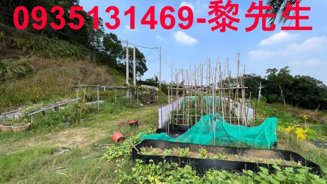 寶山農地-0