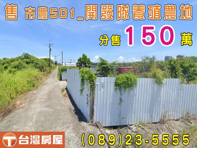 台東農地台東房地產台東土地買賣台東房仲台東仲介縱谷線農地