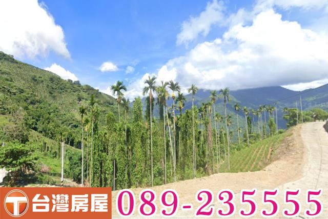 台東太麻里農地-2