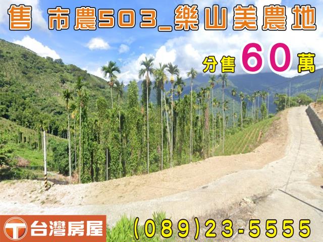 中華路大面寬農地